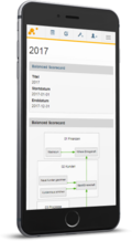 Balanced Scorecard (Telefonansicht)