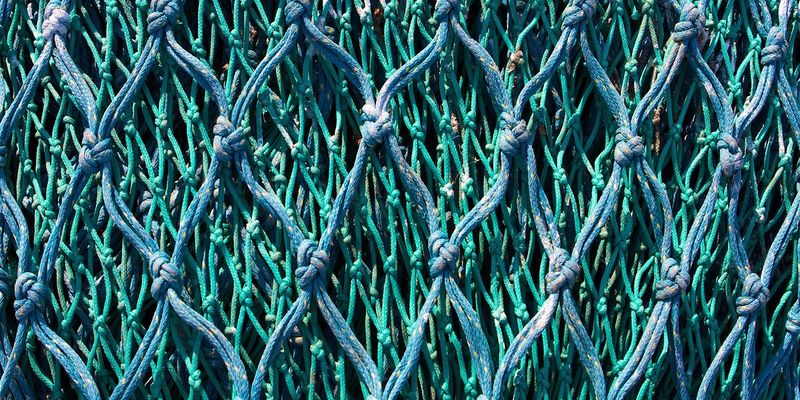 Datei:knots-xs.jpg